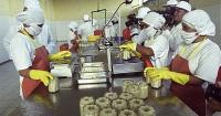 Mediana empresa compensará caída de recaudación minera