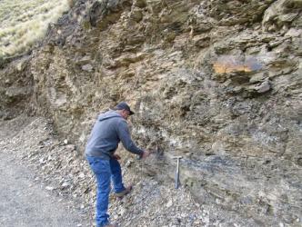 Palamina Corp: Muestra de mineralización de proyecto Lagos son de alto grado